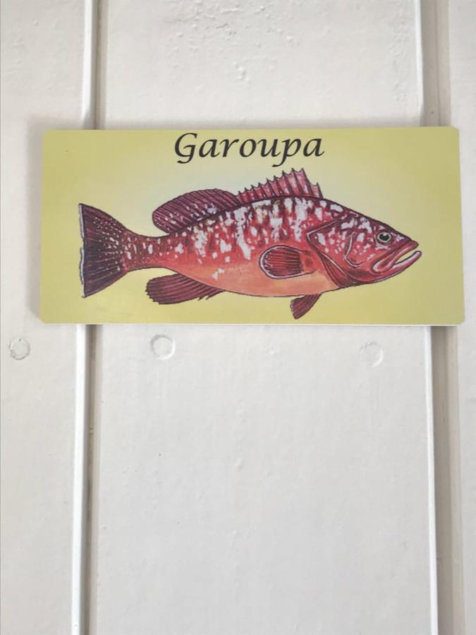 Aquarius Osteria Hotel Араял до Кабо Екстериор снимка